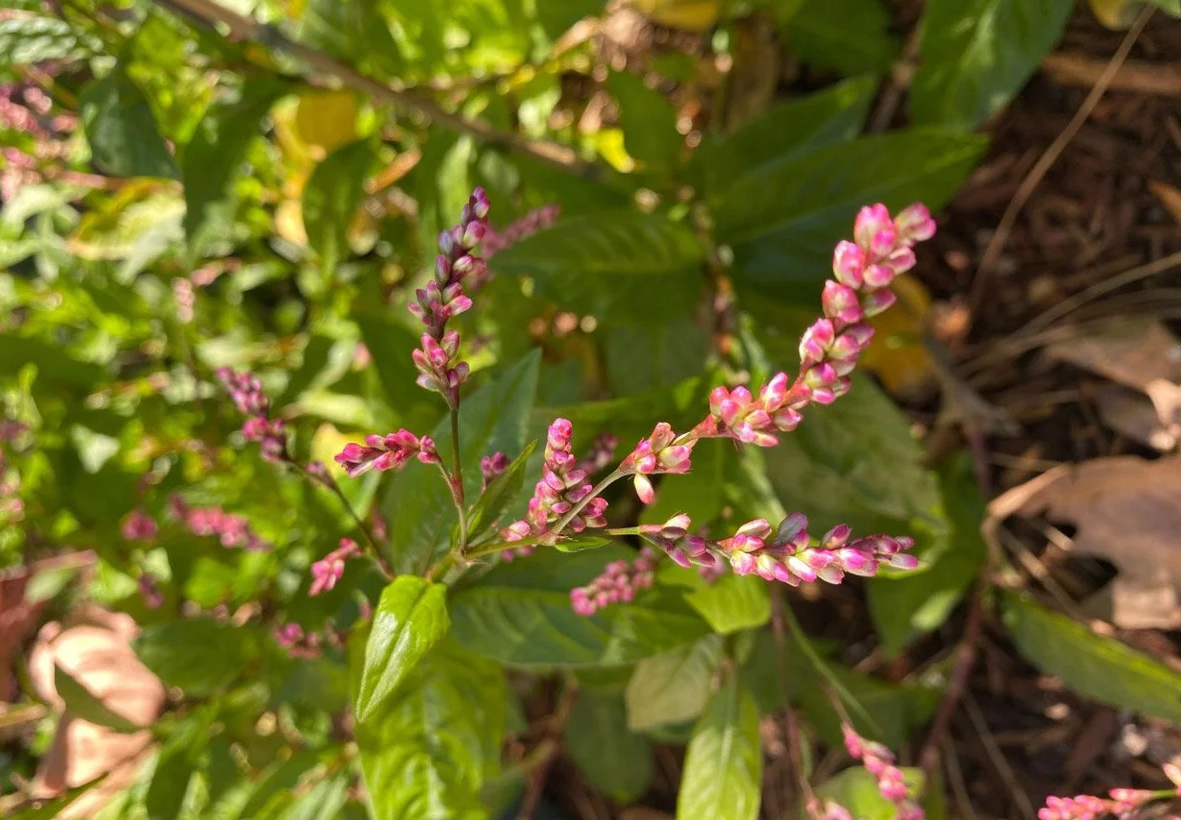 Screenshot 2025 12 24 122817